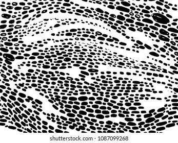 Vector hand drawn animal print design. Calligraphic brush stroke monochrome pattern. Black and white style. Poster, fabric print, web page background, birthday card invitation, interior texture