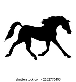 Vector Hand Drawn Arabian Horse Silhouette Isolated On White Background