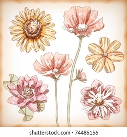 Vector Hand Drawn Assorted Flowers