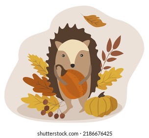 vector hand drawn autumn illustration in flat style. cute hedgehog with pumpkin and fall foliage