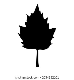 Vector hand drawn autumn leaf silhouette isolated on white background