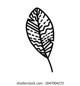 Vector hand drawn autumn leaf isolated on white background icon. Cute doodle fall leaf for seasonal design, textile, decoration for greeting card. Doodle coloring page for adult and kids. Ink line art