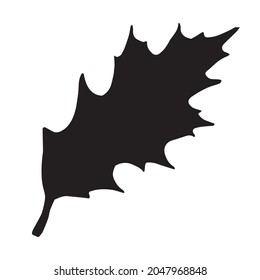 Vector hand drawn autumn leaf silhouette isolated on white background