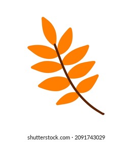 Vector hand drawn Autumn leaf isolated on white background. Decorative doodle orange leaf. Cartoon scribble leaf icon for wedding design, wrapping, textiles, clothing page, ornate and greeting cards