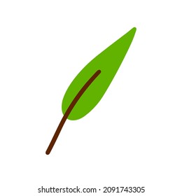Vector hand drawn Autumn leaf isolated on white background. Decorative doodle green leaf. Cartoon scribble leaf icon for wedding design, wrapping, textiles, clothing page, ornate and greeting cards