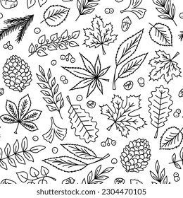 Vector hand drawn autumn leaves doodle seamless pattern in line style. Red maple, oak, chestnut tree leaves. Berries, acorns, chestnuts and pine branches, quaking aspen, butternut. Foliage background