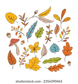 Vector hand drawn Autumn leaves collection.