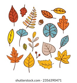 Vector hand drawn Autumn leaves collection.