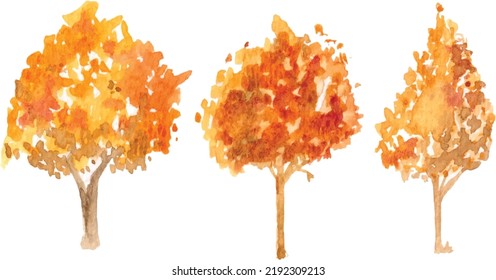 Ilustración de la acuarela del árbol de otoño dibujada a mano en el fondo blanco.