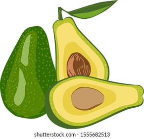 Vector with hand drawn avocado on a white background.