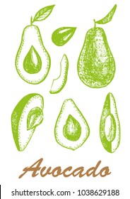 Vector hand drawn avocado set. A set of avocados from pieces, bones and different positions of the fruit.