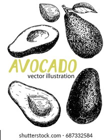 Vector hand drawn avocado set. Whole avocado, sliced pieces, half, leaf and seed sketch. Detailed food drawing. Great for label, poster, print.