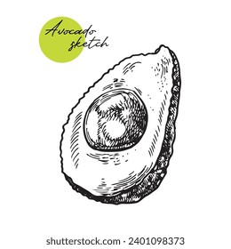 Vector hand drawn avocado and sliced pieces set. Tropical summer fruit engraved style illustration. Detailed food drawing. Great for label, poster, print