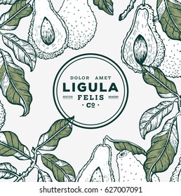 Vector hand drawn avocado and sliced pieces. Engraved style illustration. Detailed food drawing. Great for label, poster, print