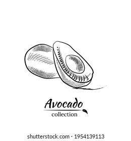 Vektor handgezeichnet Avocado und Scheiben Set. Skizze eines ganzen Avocado, geschnitten ​ ​ und Blätter. Botanische Illustration von Avocado. Juicy tropische Früchte. Ideal für Etiketten, Plakate, Drucke.