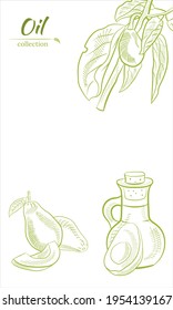 Vector dibujado a mano aguacate y rodajas. Esbozo de botellas de aceite de aguacate. Esbozo de un aguacate entero, cortado de hojas de aguacate y raspado. Ilustración botánica del aguacate. Frutas tropicales jugosas. 