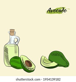 Vector hand drawn avocado and slices set. Avocado oil bottle sketch. Sketch of a whole avocado, sliced ​​and leaves. Botanical illustration of avocado. Juicy tropical fruits. 
