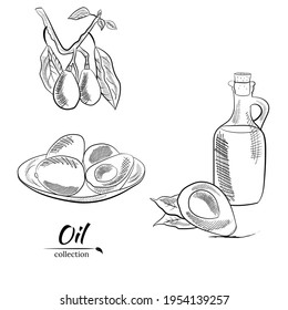 Vector dibujado a mano aguacate y rodajas. Esbozo de botellas de aceite de aguacate. Esbozo de un aguacate entero, cortado de hojas de aguacate y raspado. Ilustración botánica del aguacate. Frutas tropicales jugosas. 