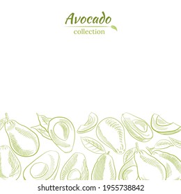 Vector hand drawn avocado and slices set.Sketch of a whole avocado, sliced ​​and leaves. Botanical illustration of avocado. Juicy tropical fruits.Great for labels, posters, prints.