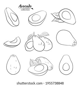 El vector dibujó a mano el aguacate y las rodajas set.Esbozo de todo un aguacate, cortando hojas y aguacate. Ilustración botánica del aguacate. Frutos tropicales jugosos.Ideal para etiquetas, afiches, impresiones.