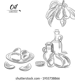 Vector hand drawn avocado and slices set.Sketch of a whole avocado, sliced ​​and leaves. Botanical illustration of avocado. Juicy tropical fruits.Great for labels, posters, prints.