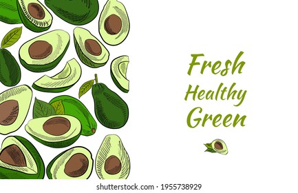 El vector dibujó a mano el aguacate y las rodajas set.Esbozo de todo un aguacate, cortando hojas y aguacate. Ilustración botánica del aguacate. Frutos tropicales jugosos.Ideal para etiquetas, afiches, impresiones.