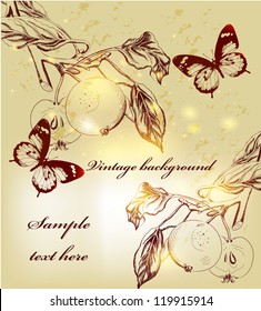 Vector hand drawn background