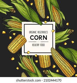 Vector hand drawn background with corn. Legumes plant drawing with ripe corn cobs on dark background. Natural botanical lineart illustration. Organic cereal sketch.