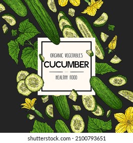 Vector hand drawn background with cucumber. Organic plant drawing with cucumbers, slices, halves, pieces, flower, branch and leaves on dark background. Natural botanical lineart illustration. Organic 