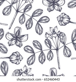 Vector hand drawn background with Guaiacum. Aromatic and medicinal plant sketch. Perfumery and cosmetics ingredients. Seamless pattern.