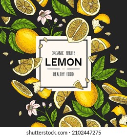 Vector hand drawn background with lemon. Legumes plant drawing with whole lemon, slices pieces, half, flower and leaves on dark background. Natural botanical lineart illustration. Citrus fruits sketch