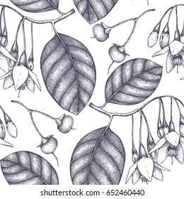 Vector hand drawn background with Styrax. Aromatic and medicinal plant sketch. Perfumery and cosmetics ingredients. Seamless pattern.