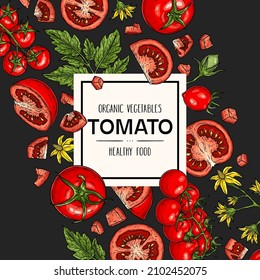 Vector hand drawn background with tomato. Organic plant drawing with tomatoes, slices, half, flower, branch with leaves and cherry tomatoes on dark background. Natural botanical lineart illustration. 