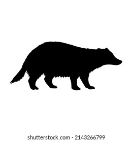 1,351 Hand drawn badger Images, Stock Photos & Vectors | Shutterstock