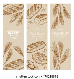 Vector hand drawn bakery templates, banners, flyers, leaflets. Bread, wheat ears illustration.