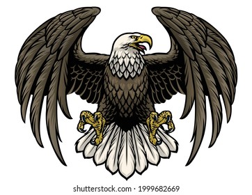 vector of hand drawn bald eagle