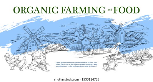 Vector hand drawn banner in engraving style of panoramic rural landscape with mill, barn, field, mill and poultry. Label or landing page for local farm market, organic food store or natural products.