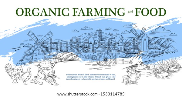 Vector hand drawn banner in engraving style of\
panoramic rural landscape with mill, barn, field, mill and poultry.\
Label or landing page for local farm market, organic food store or\
natural products.