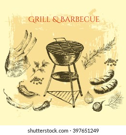 vector hand drawn barbecue steak meat elements. summer holiday food illustration