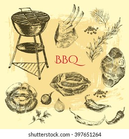 vector hand drawn barbecue steak meat elements. summer holiday food illustration