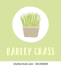 Vector hand drawn barley grass superfood