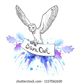 Vector Hand drawn Barn owl with open wings holds in the clutches banner. Linear bird .