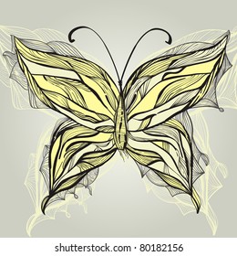 vector hand drawn beautiful butterfly, vintage style
