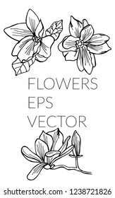 Vector hand drawn beautiful set of flower in sketch for design projects