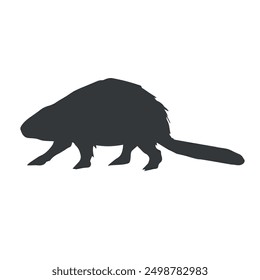 Vector hand drawn beaver silhouette isolated on white background