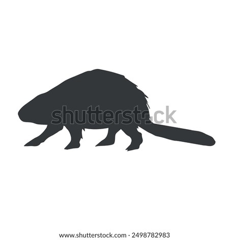 Vector hand drawn beaver silhouette isolated on white background