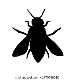 Vector hand drawn bee silhouette isolated on white background