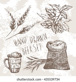 Vector hand drawn beer set
