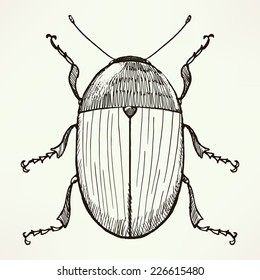 Vector hand drawn beetle | Cartoon bug shaded ink drawing 