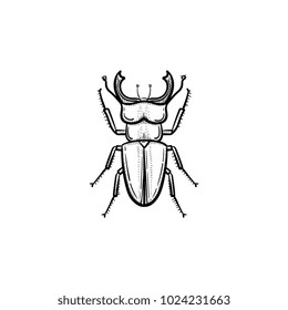 Ícone de doodle de contorno de besouro desenhado à mão vetorial. Ilustração do esboço do besouro para impressão, web, móvel e infográficos isolados no fundo branco.